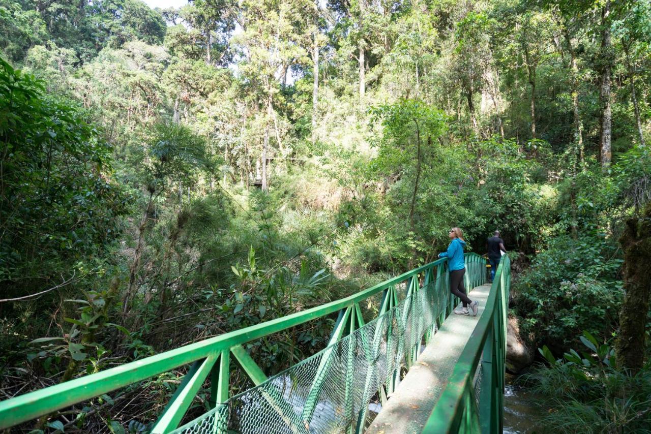 Trogon Lodge San Gerardo de Dota Exterior foto